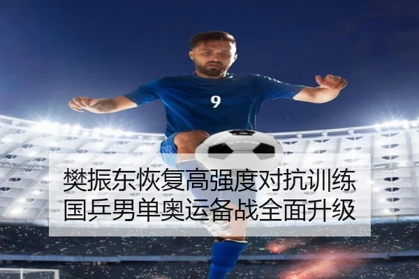 樊振东恢复高强度对抗训练 国乒男单奥运备战全面升级